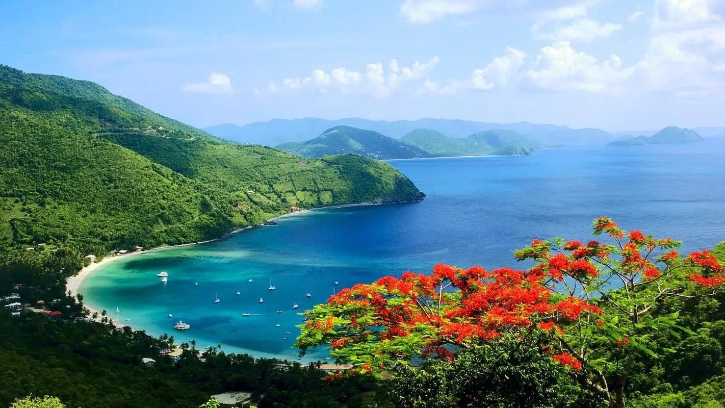 高性能智能创意